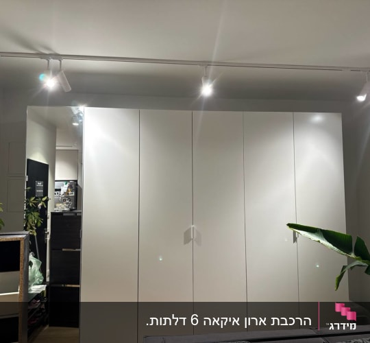 ארון לבן עם תאורה עליונה וצמח ירוק בצד